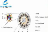 特种光缆-48芯-144芯层绞式气吹微缆