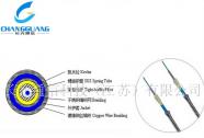 特种光缆-防静电型铠装光缆