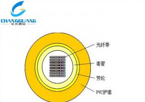 产品中心-室内光纤带光缆(GJFDV)-室内光缆