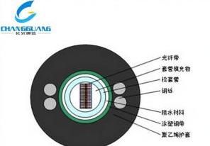 产品中心-中心管式轻铠装光纤带光缆（GYDXTW）-室外光缆