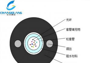 产品中心-中心管式阻燃光缆GYXTZW-室外光缆