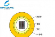 室内光缆-室内光纤带光缆(GJFDV)